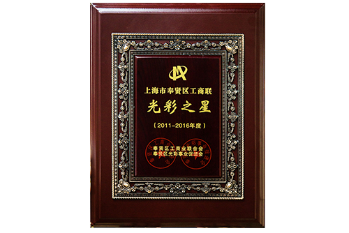 奉贤区工商联“色泽之星”